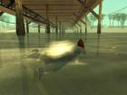 Swimming